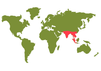 Gecko repartition